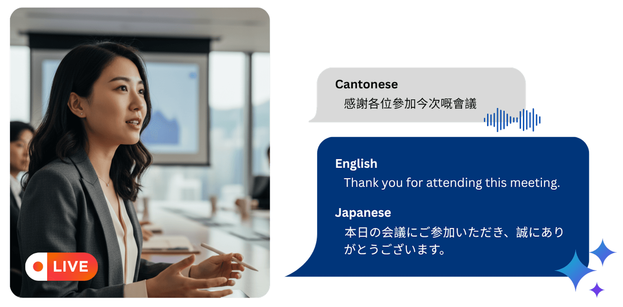 Subanana AI real-time transcription showing live speech-to-text with bilingual subtitles