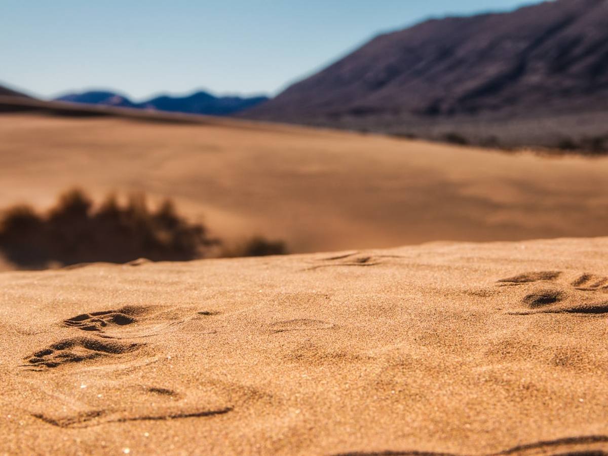 Sand dunes at golden hour