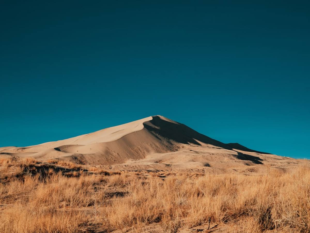 A golden field at dusk