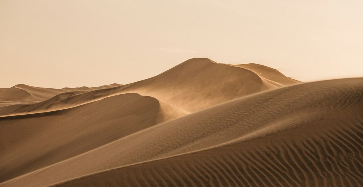 Wind-shaped dunes at golden hour